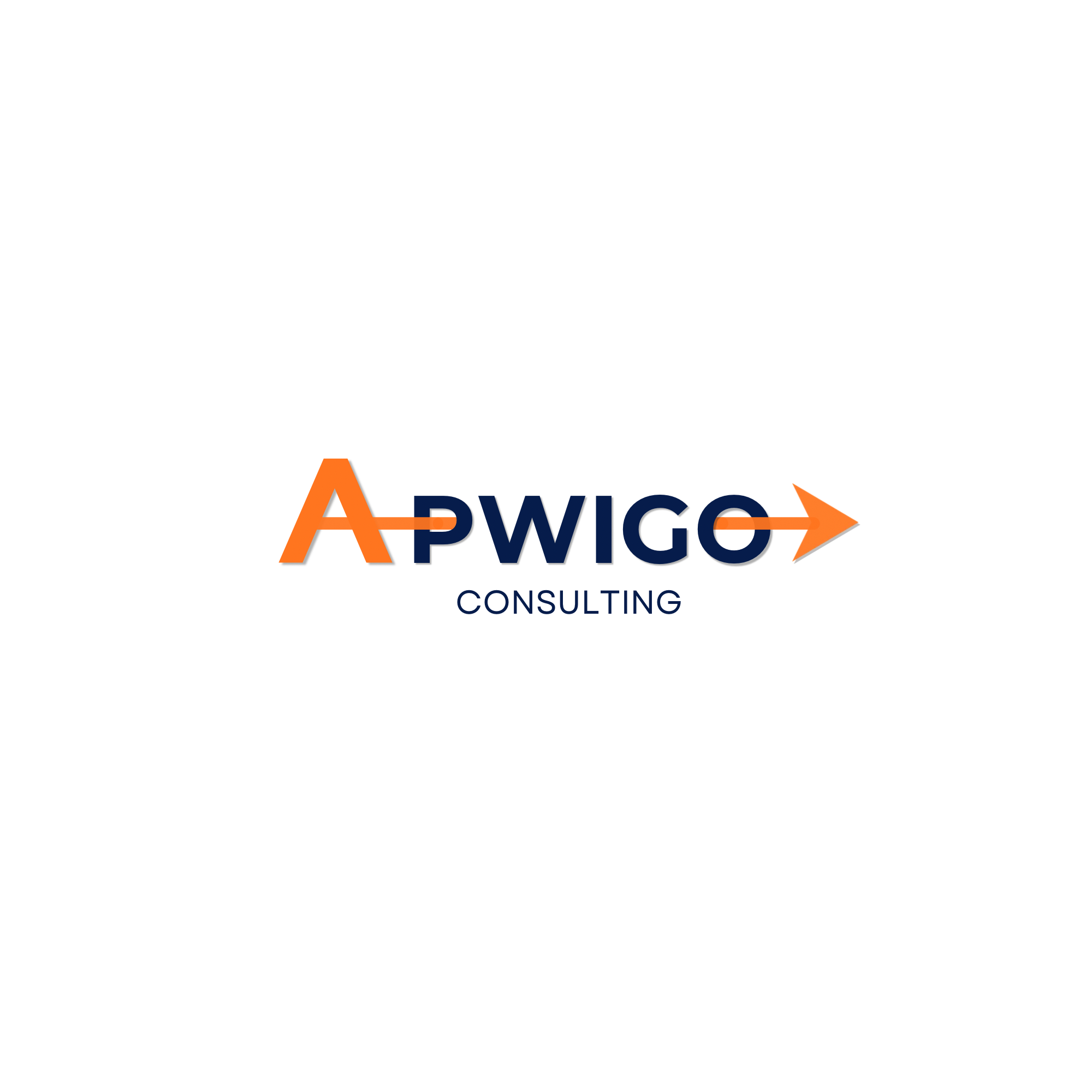 APWIGO consulting